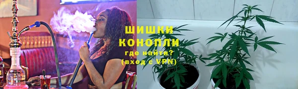 шишки Беломорск