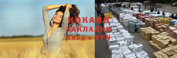 бошки Белокуриха