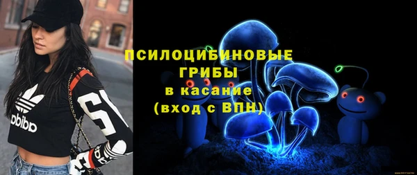 бошки Белокуриха