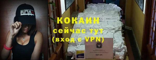 бошки Белокуриха