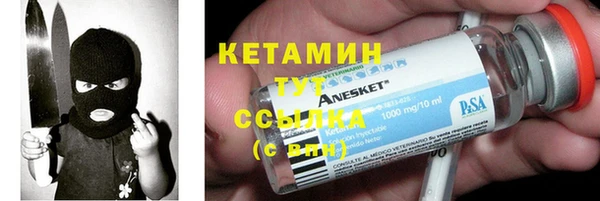 шишки Беломорск