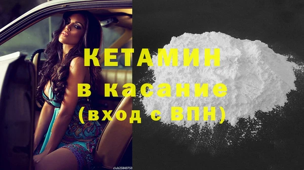 шишки Беломорск