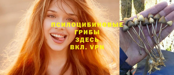 бошки Белокуриха