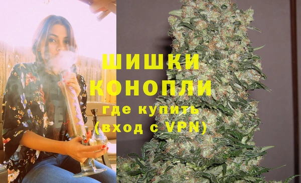 шишки Беломорск