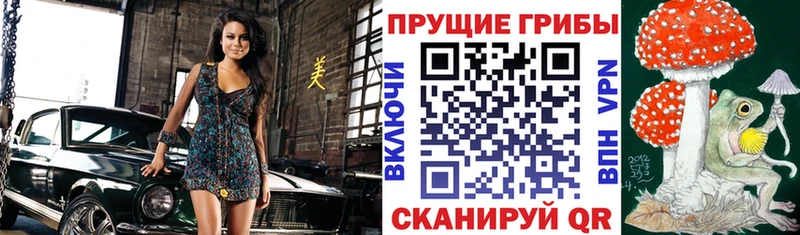 Галлюциногенные грибы GOLDEN TEACHER  Шатура 